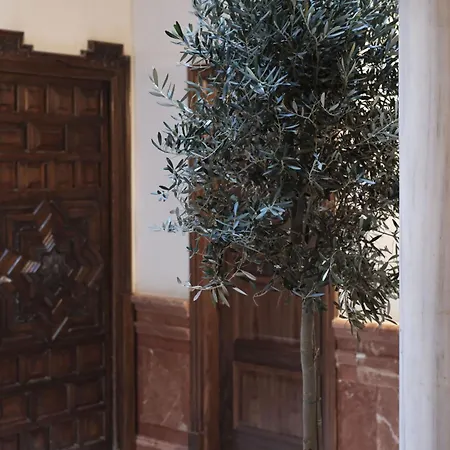 Elegant Loft For 4pax In The Center Of Seville